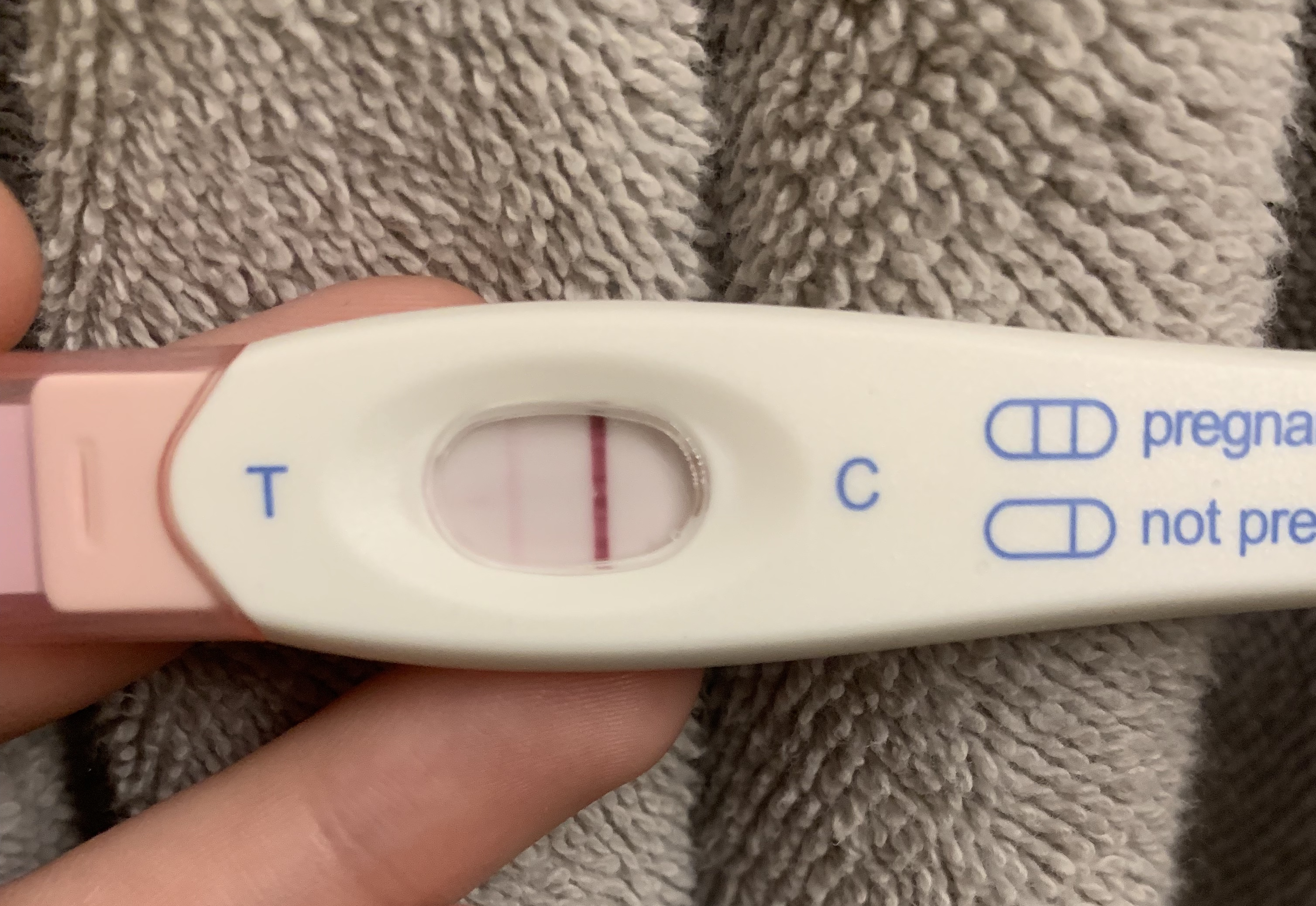 Early Pregnancy Test Family Dollar pregnancy test