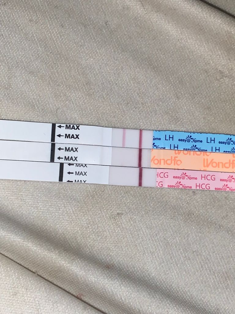weird lines on wondfo??? Trying to Conceive Forums What to Expect