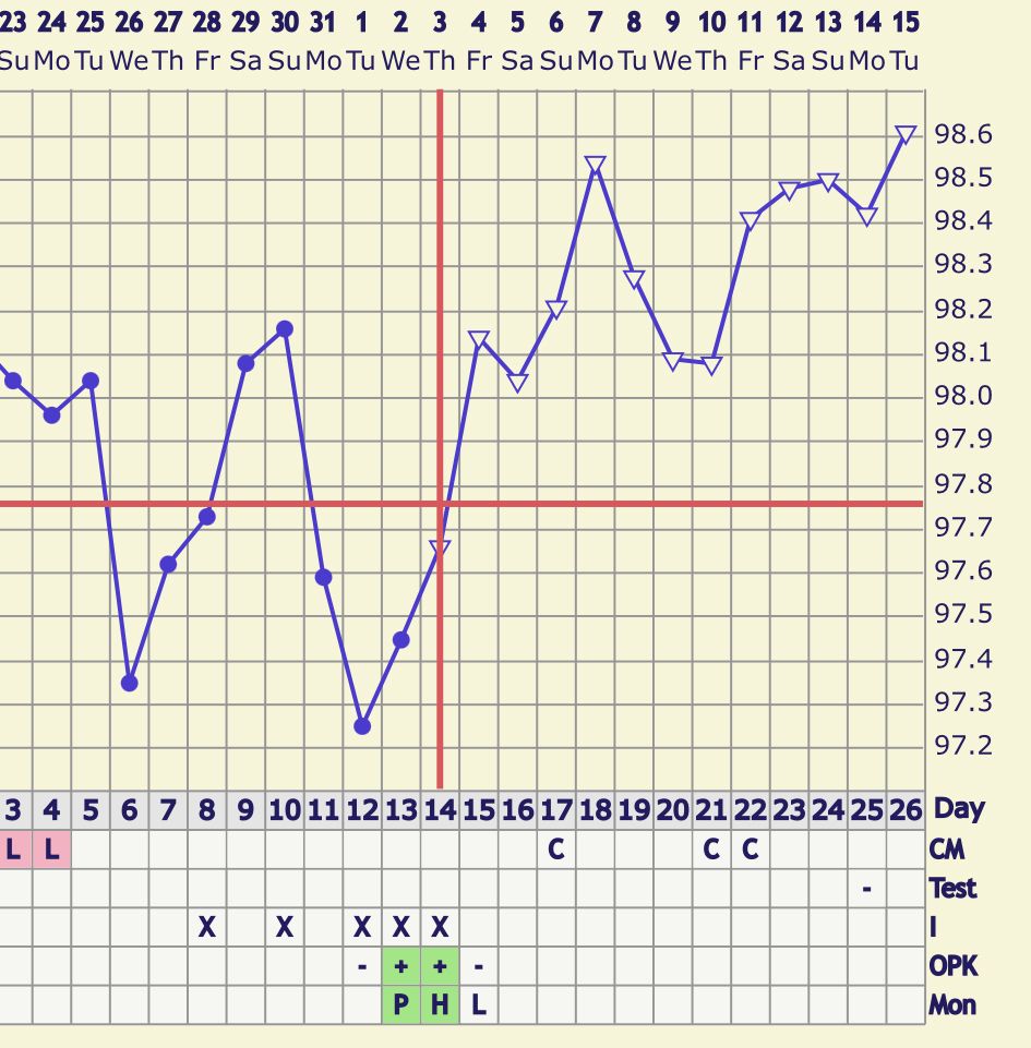12 Dpo And Temp Rise (Chart Included) - Trying To Conceive | Forums | What To Expect