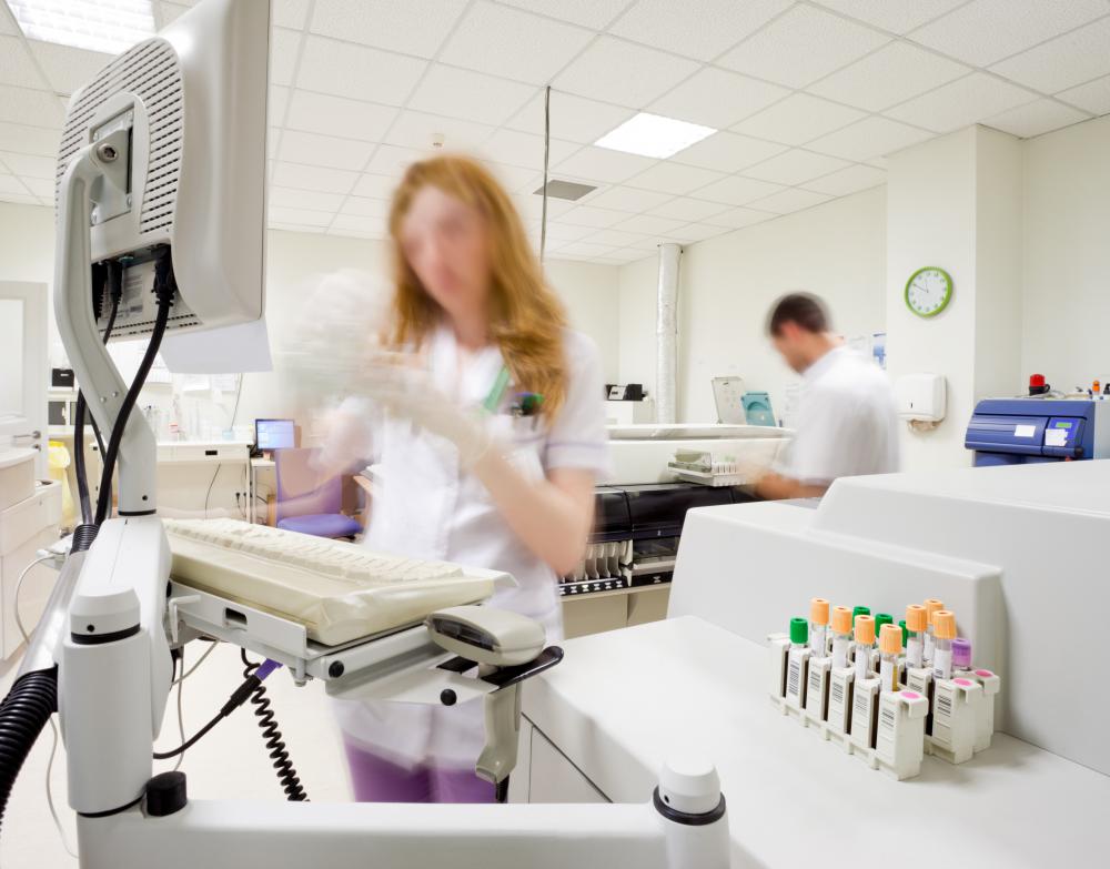 What Are the Different Types of Medical Laboratory Scientist Jobs?
