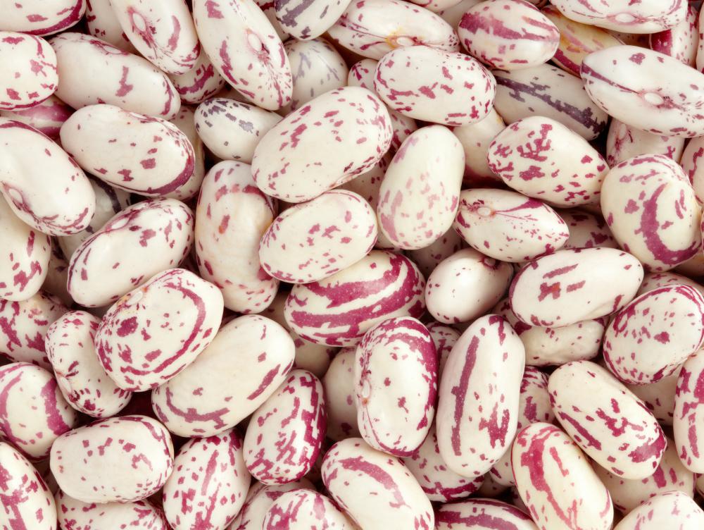 What are Cranberry Beans? (with pictures)