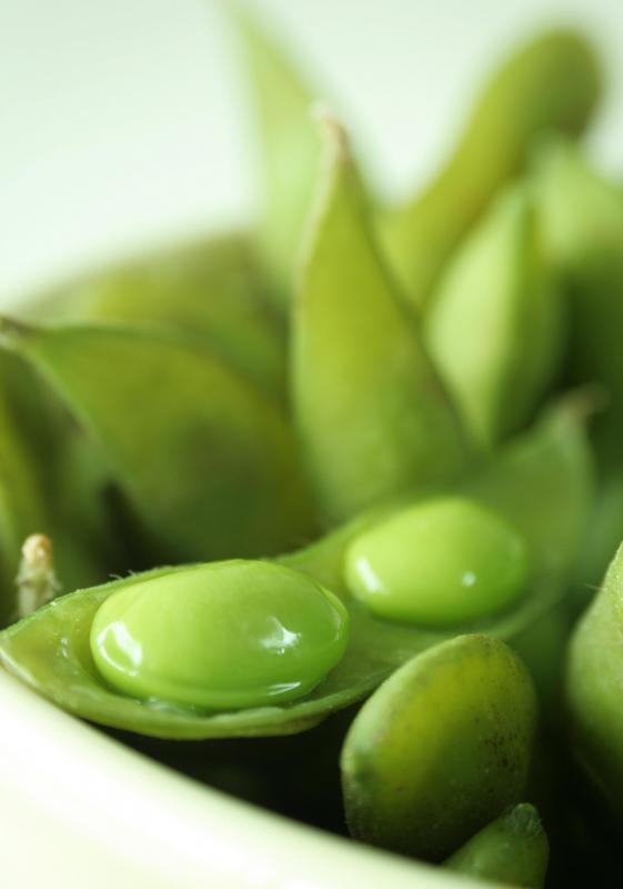 What Is Natural Estrogen Replacement? (with pictures)