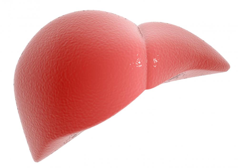 What Is Acetaminophen Liver Damage? (with pictures)