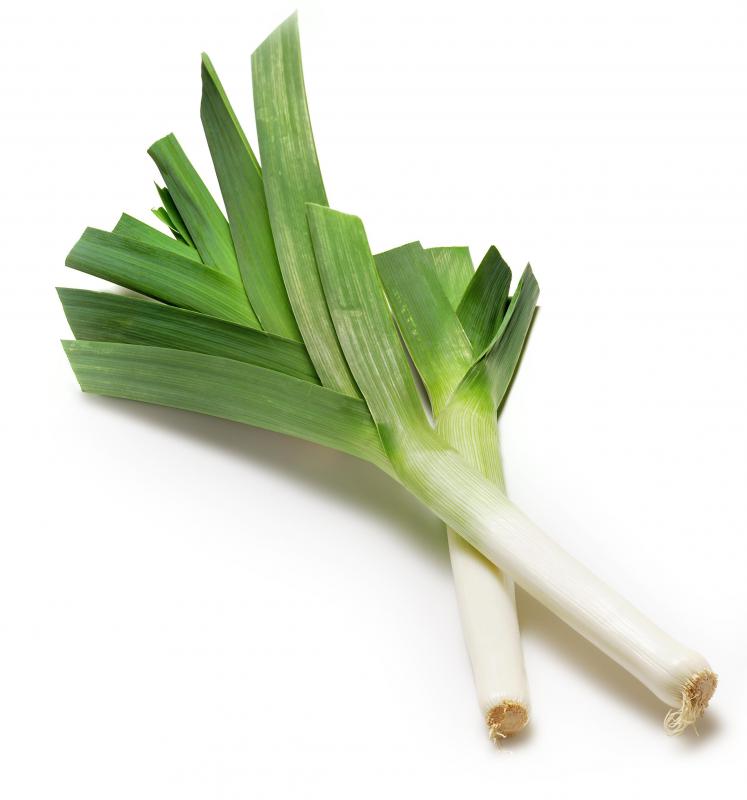 What is a Flowering Leek? (with pictures)