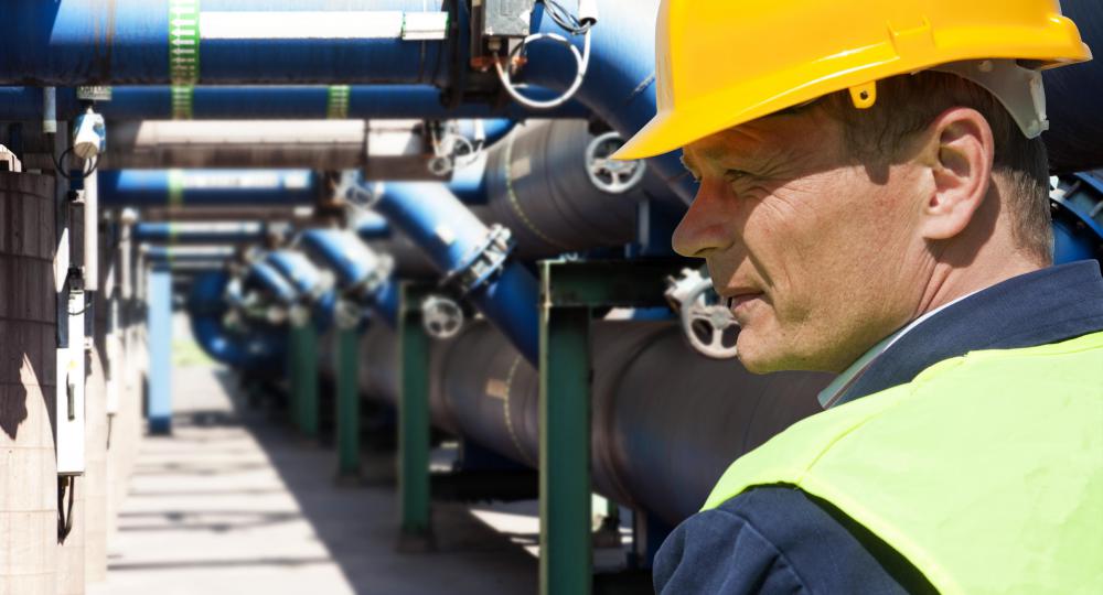 18 Types of Careers in 9 Sectors: A Basic Guide