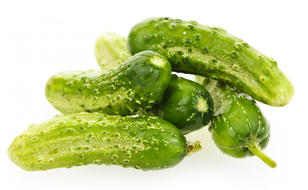 What Are the Best Tips for Pickling Gherkins? (with pictures)