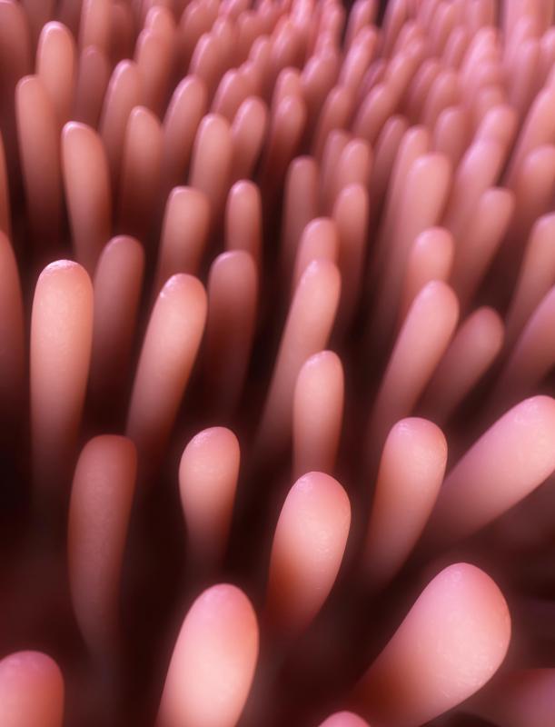 What Are Lie Bumps? (with pictures)