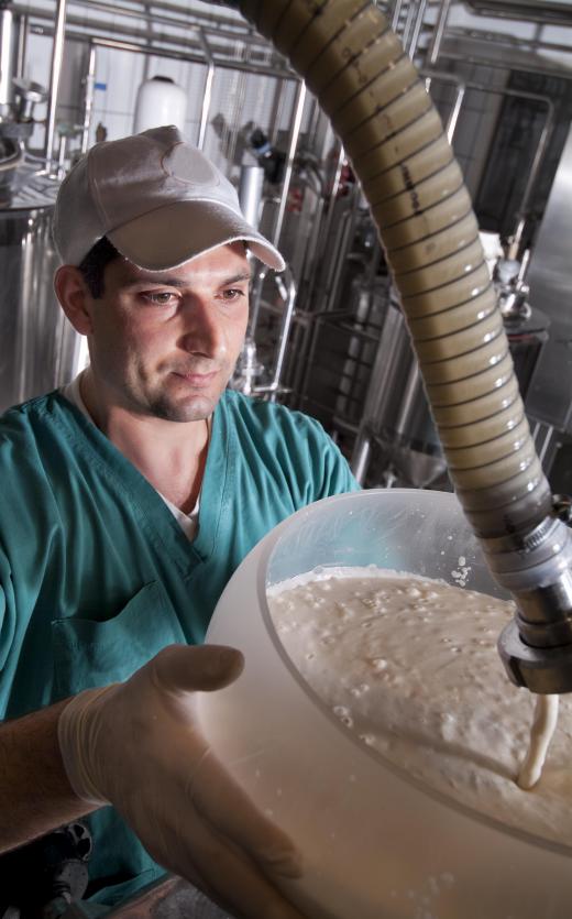 What is Probiotic Yogurt? (with pictures)