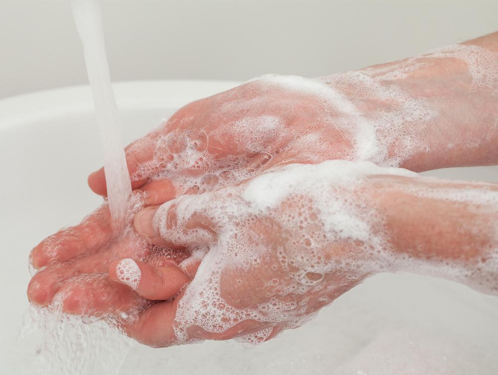 What is the Best Method of Tapeworm Removal? (with pictures)