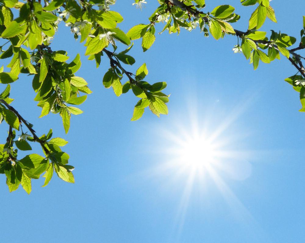 What is a Sunshine Recorder? (with picture)