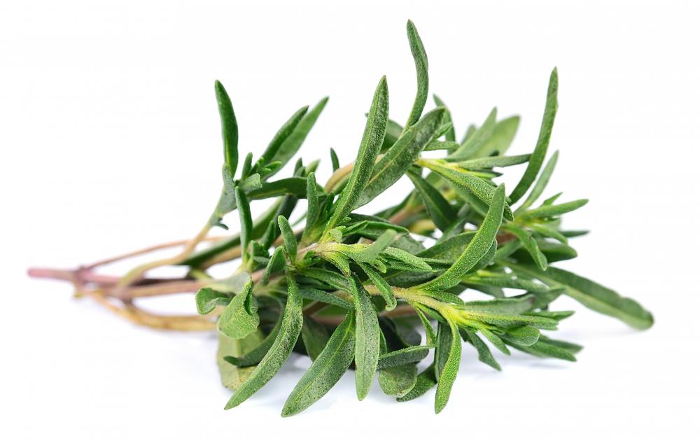 Images of THYME JapaneseClass.jp