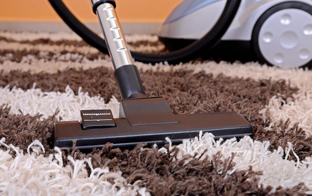 What is a Canister Vacuum Cleaner? (with pictures)