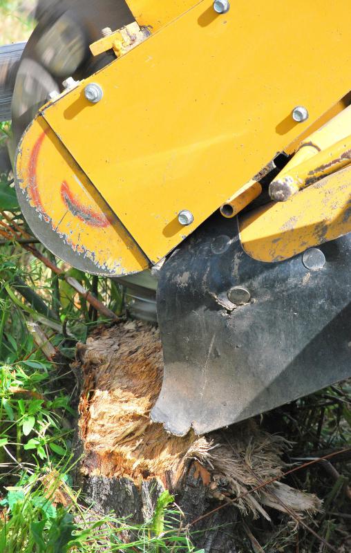 What are the Different Methods of Land Clearing?