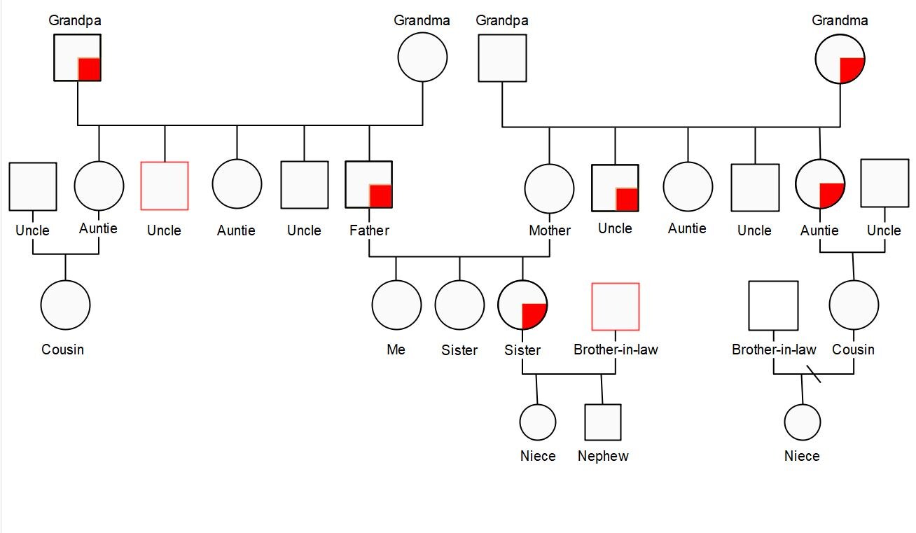 Ten Free Editable Genogram Examples