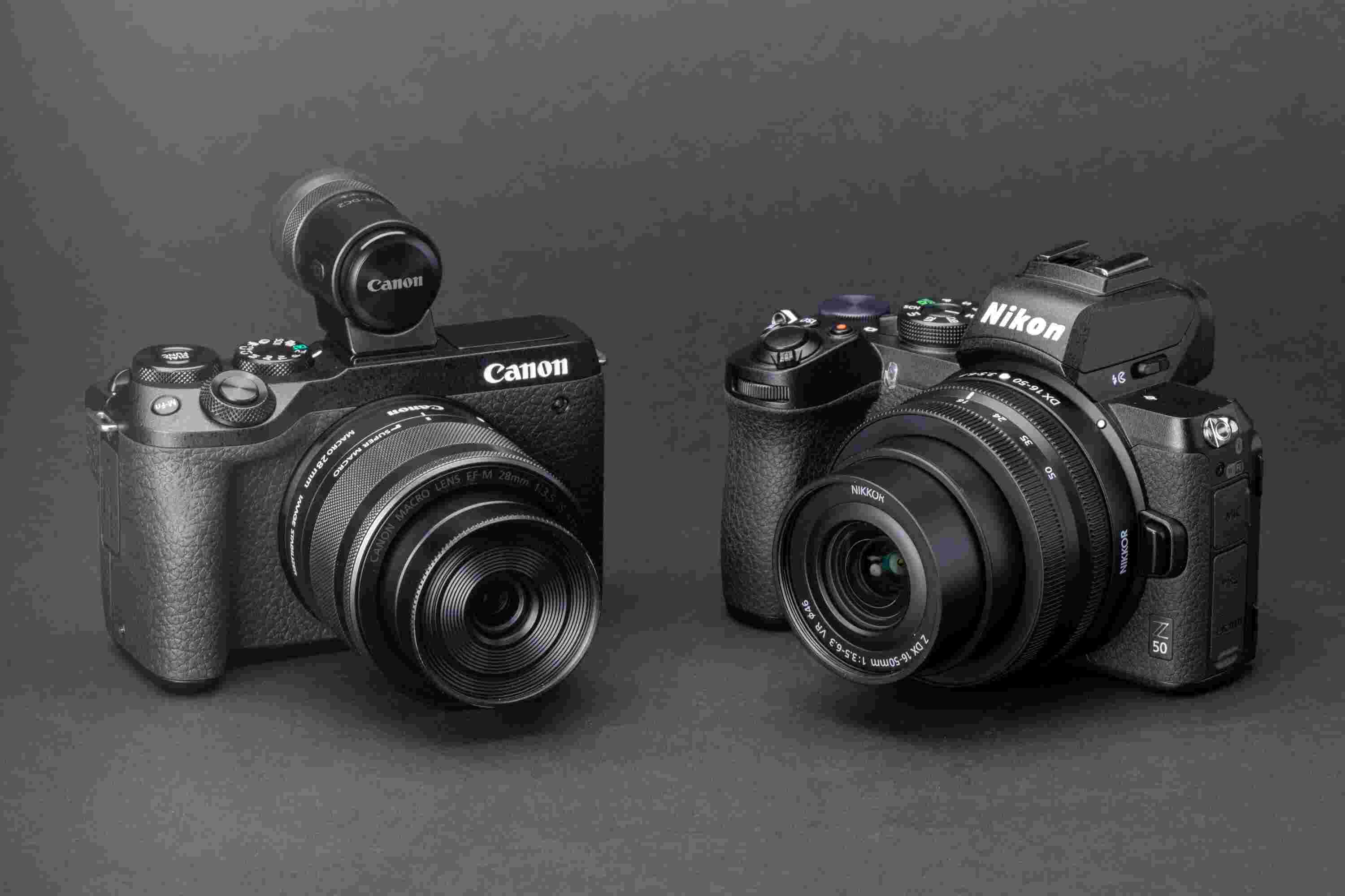 Head to Head Canon vs. Nikon Which Camera Brand Prevails?