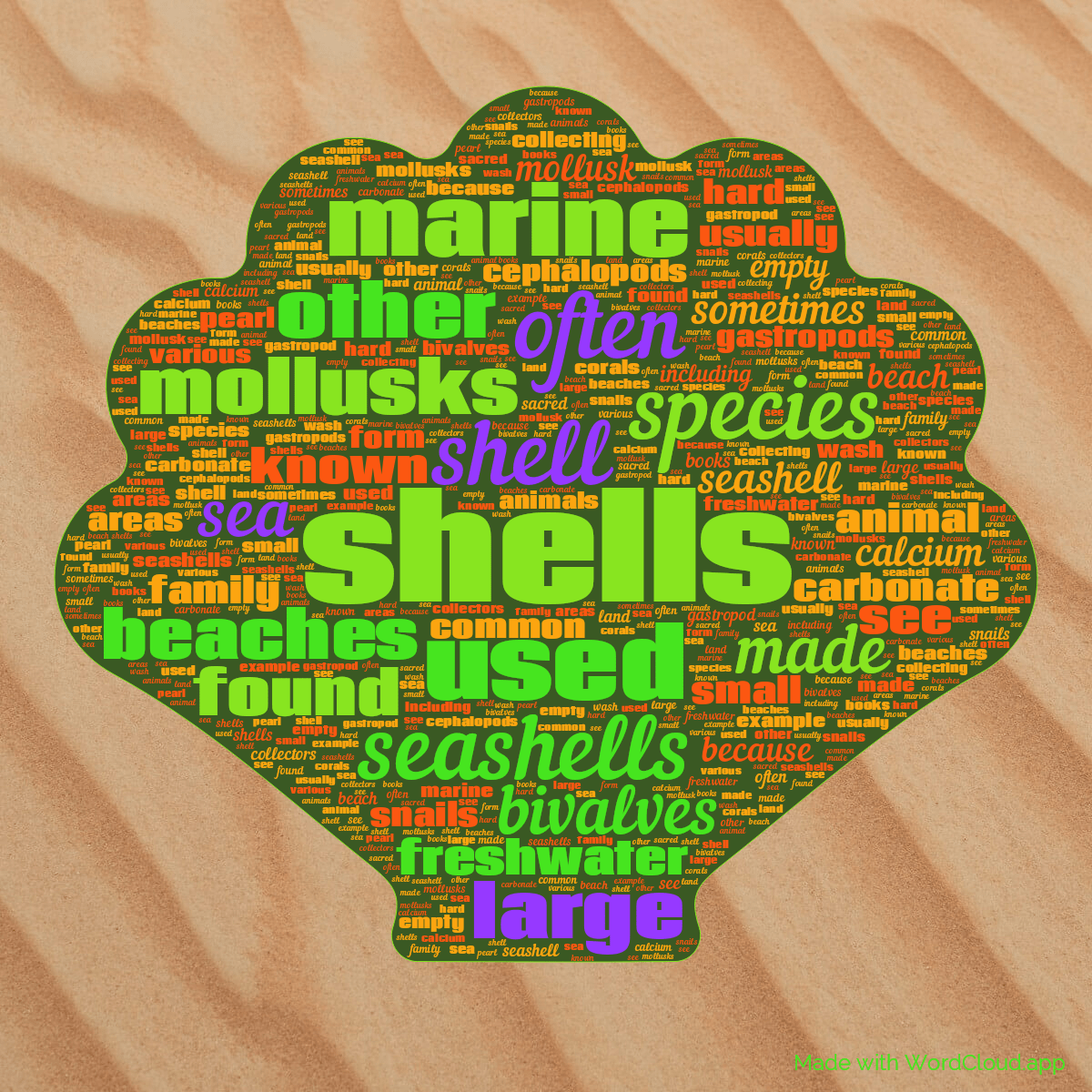Seashell on Wikipedia A Word Cloud WordCloud.app