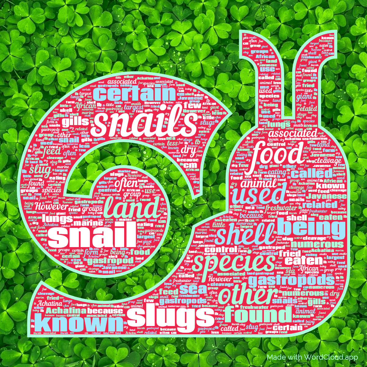 Snail on Wikipedia A Word Cloud WordCloud.app