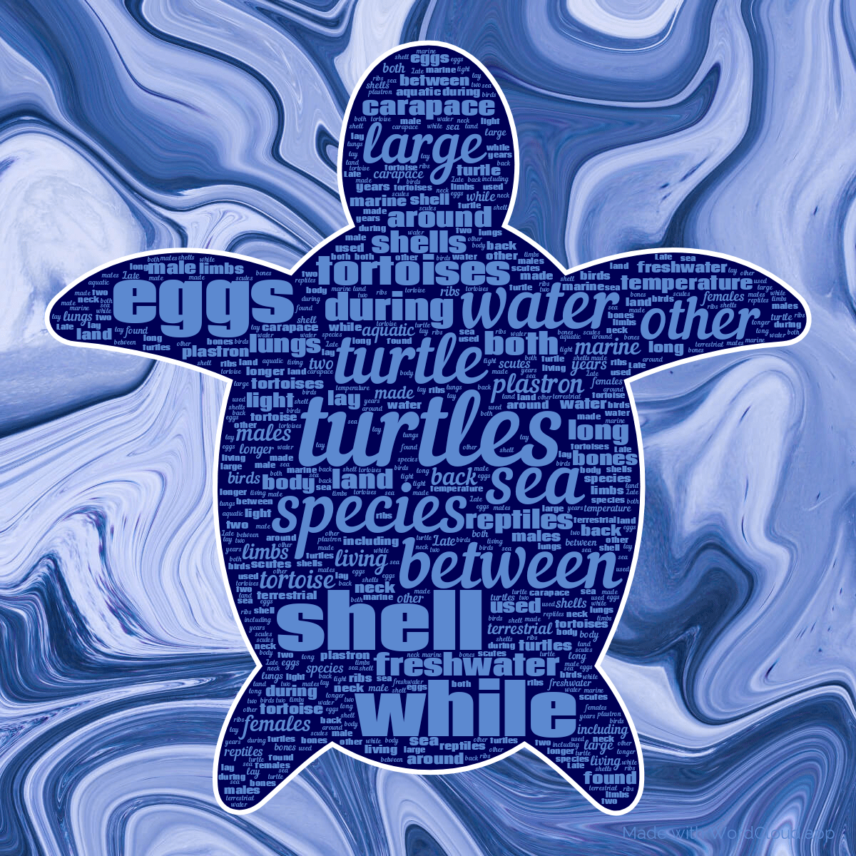 Turtle on Wikipedia A Word Cloud WordCloud.app