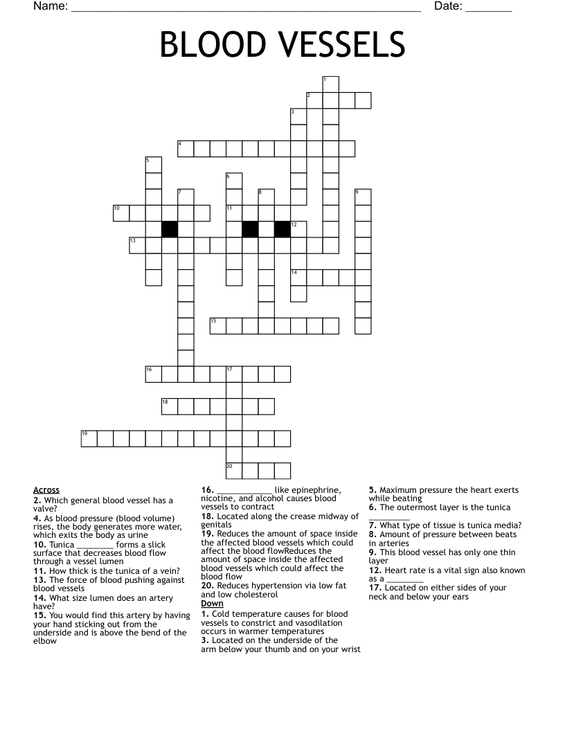 BLOOD VESSELS Crossword WordMint