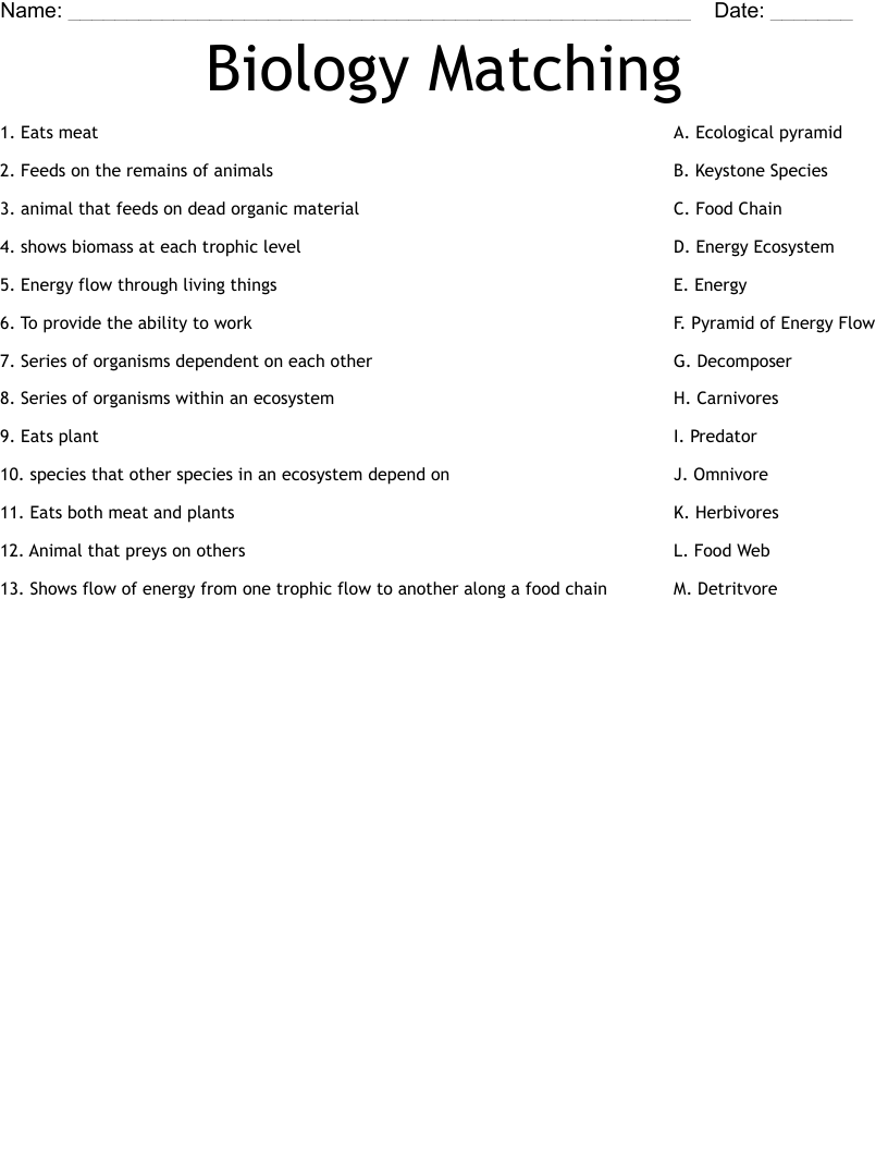 Biology Matching Worksheet WordMint