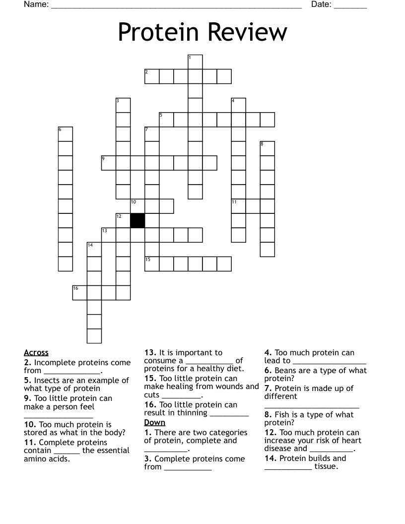 Protein Review Crossword WordMint