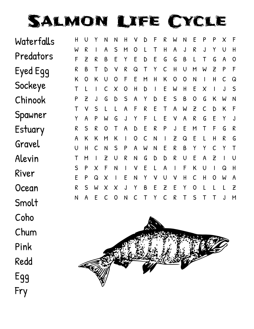 Salmon Life Cycle Word Search WordMint