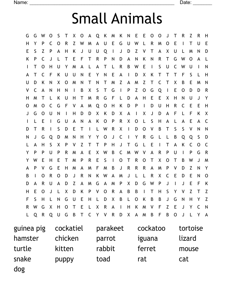 Small Animals Word Search WordMint