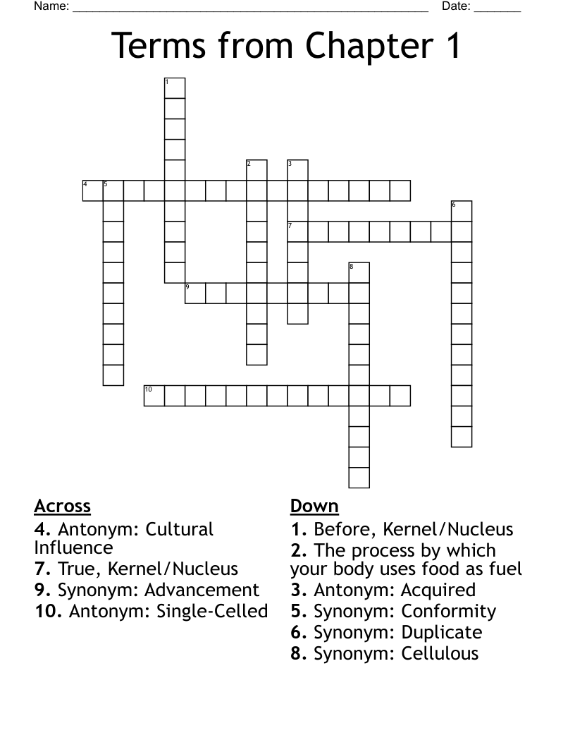 Terms from Chapter 1 Crossword WordMint