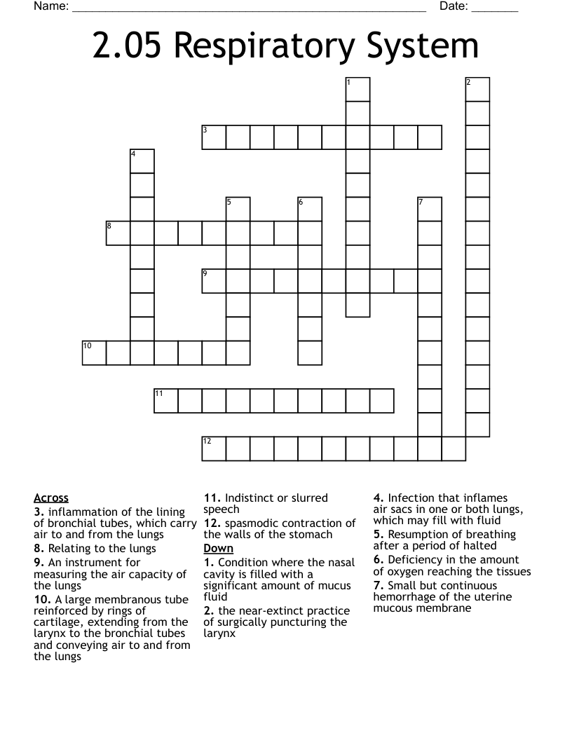 2.05 Respiratory System Crossword WordMint