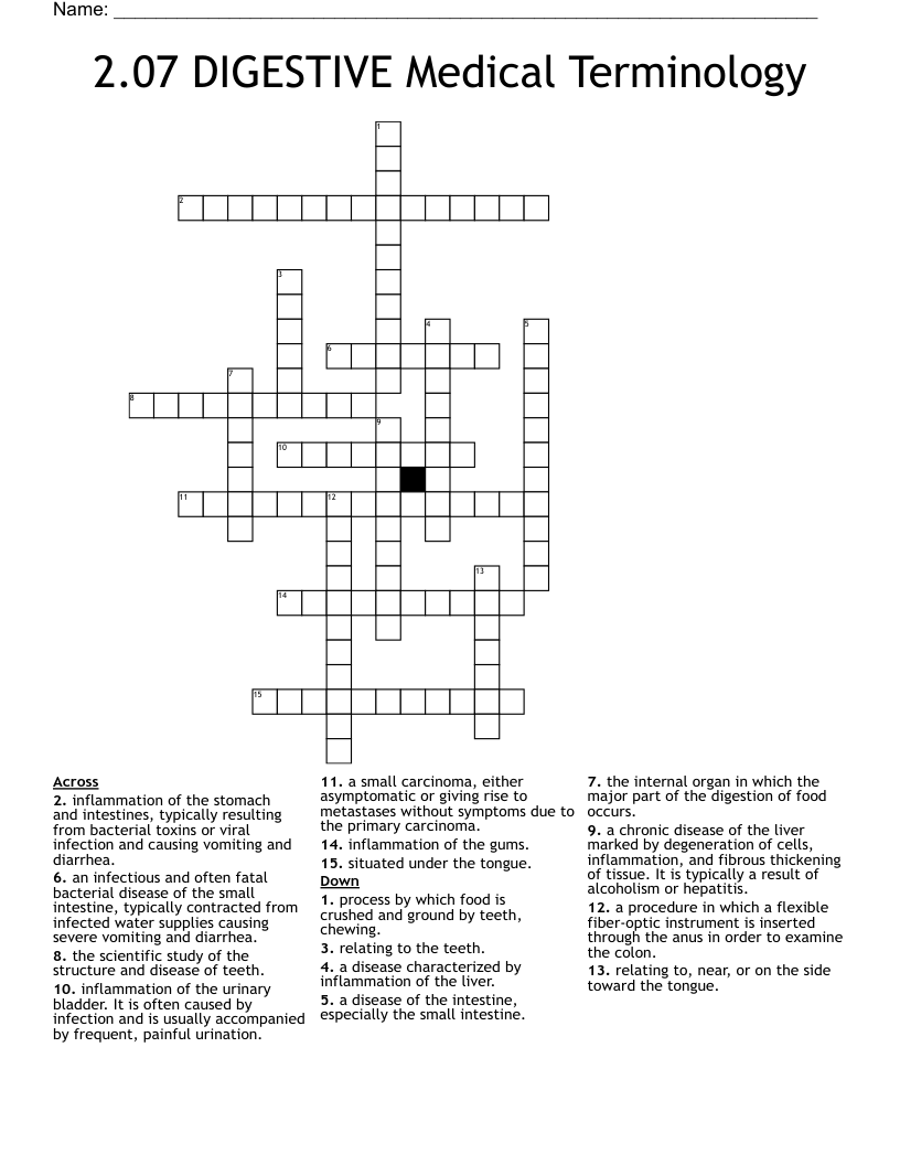 2.07 DIGESTIVE Medical Terminology Crossword WordMint