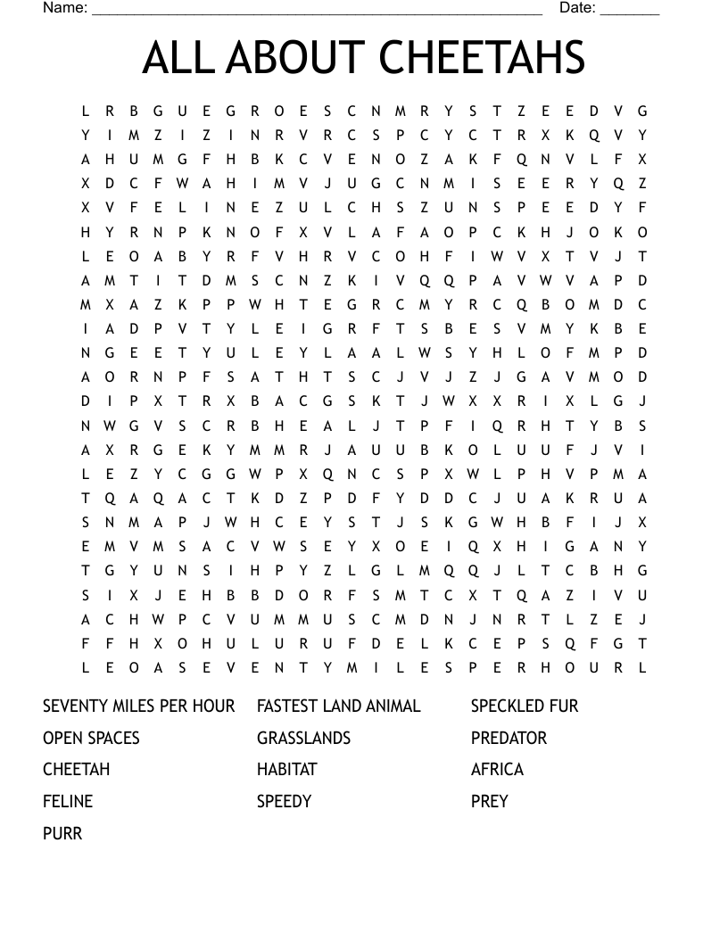 Cheetahs Word Search WordMint