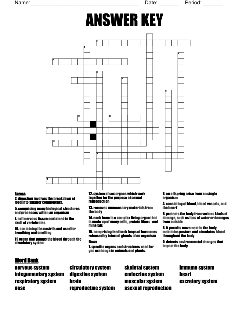 ANSWER KEY Crossword WordMint