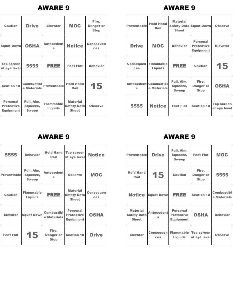 AWARE 9 Bingo Cards WordMint