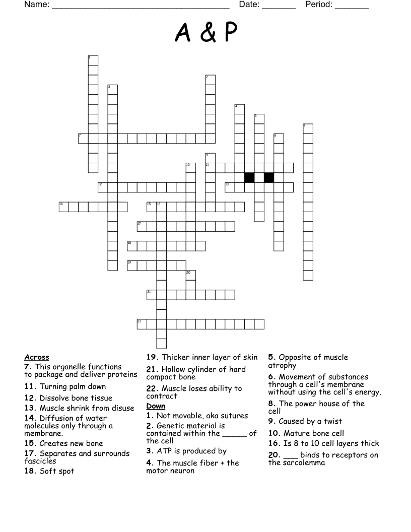 A&P Crossword WordMint