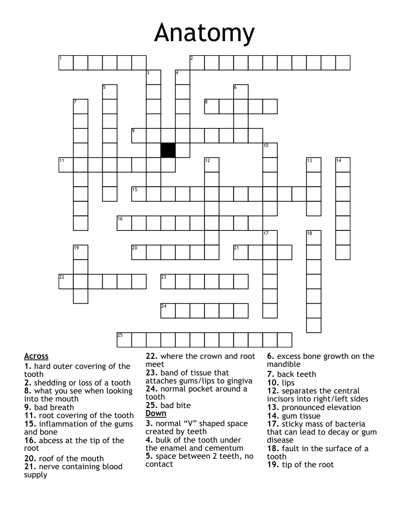 Basic Dental Anatomy Crossword WordMint