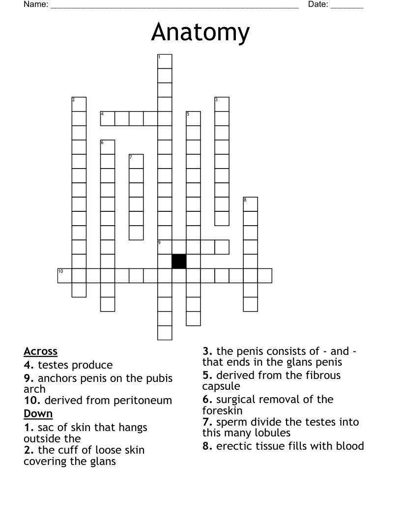Anatomy Crossword WordMint