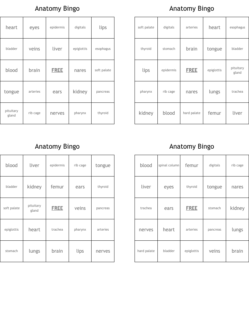 Anatomy Bingo WordMint