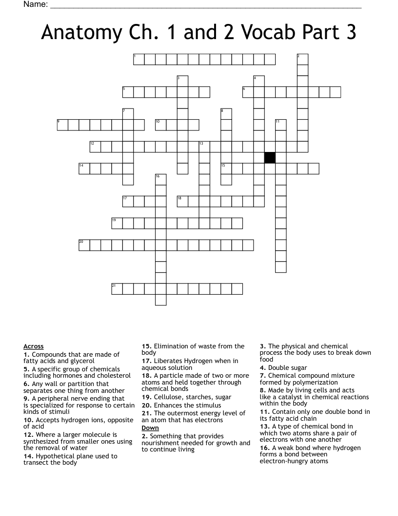 Anatomy Ch. 1 and 2 Vocab Part 3 Crossword WordMint