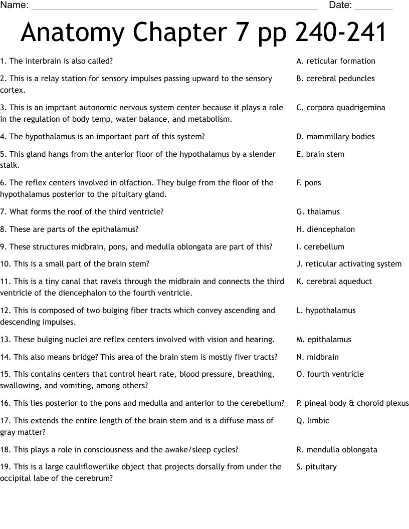 Anatomy Chapter 7 pp 240241 Worksheet WordMint