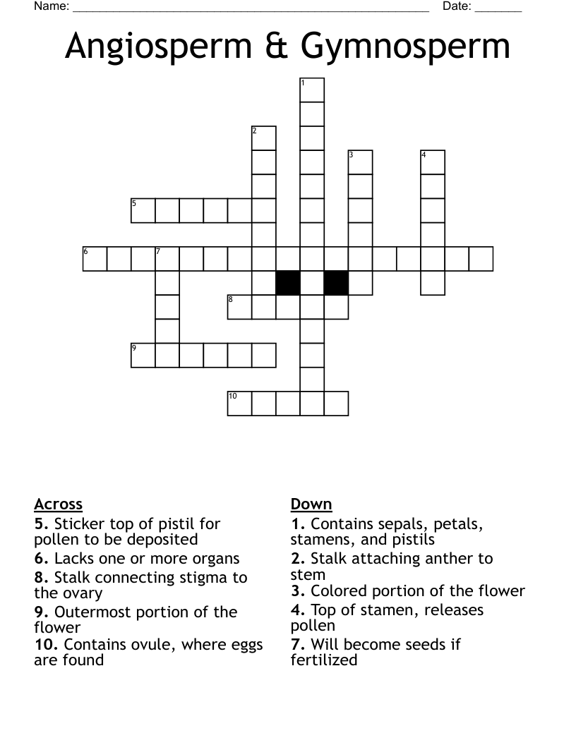 Angiosperm & Gymnosperm Crossword WordMint