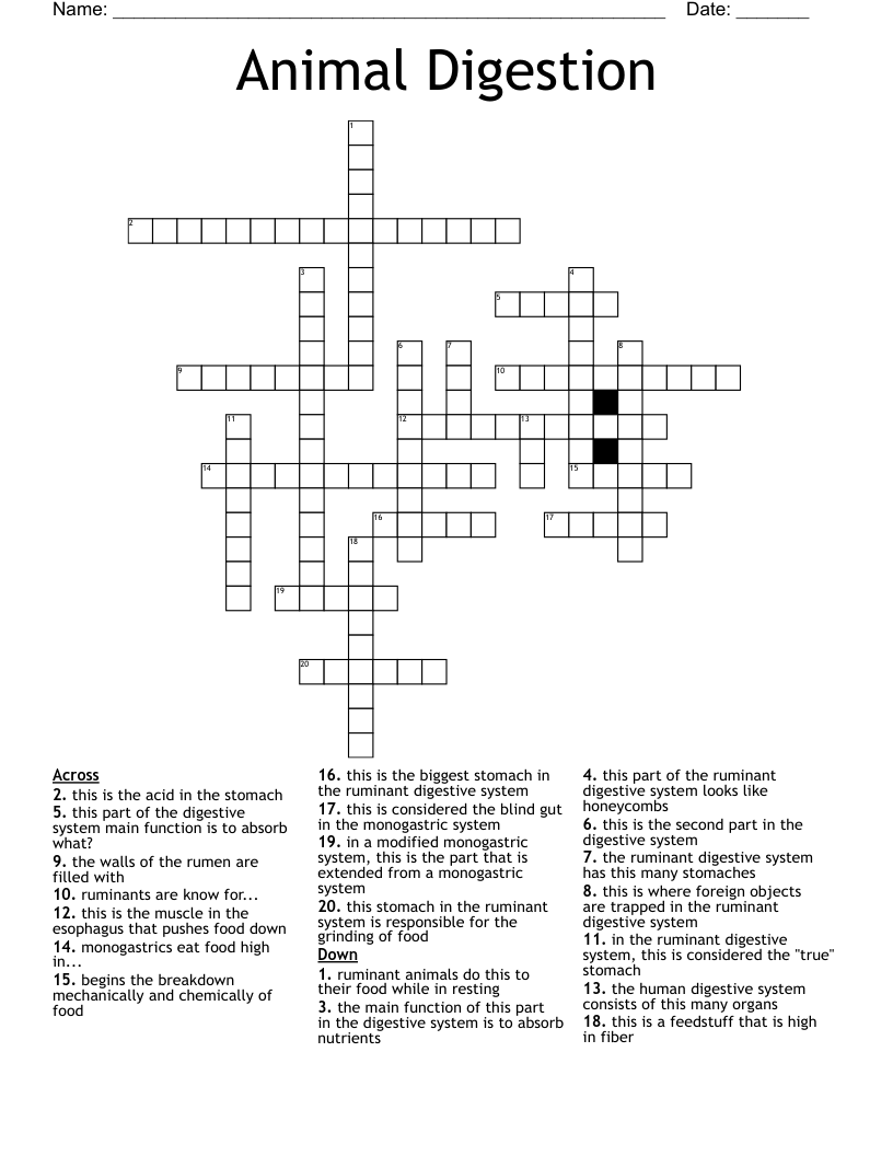 Animal Science Word Search WordMint