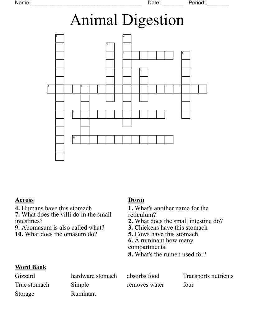 Digestive System Worksheet Crossword WordMint
