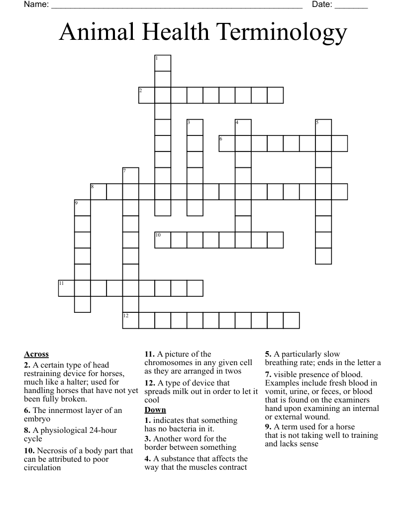 Animal Health Terminology Crossword WordMint