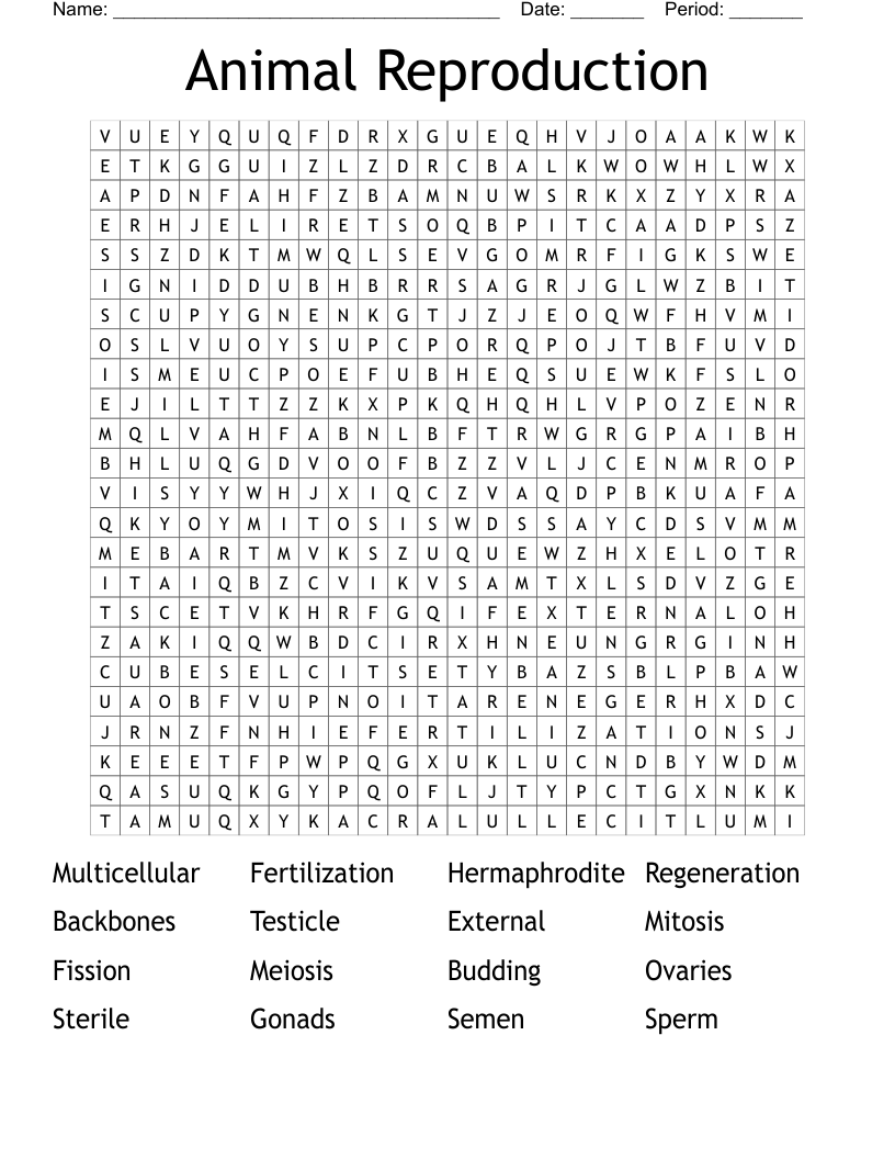 Reproduction Word Search