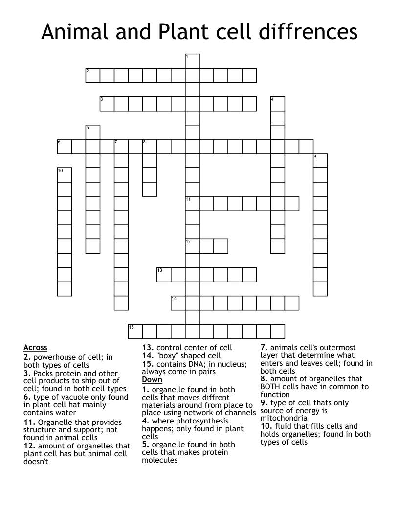 Animal and Plant cell diffrences Crossword WordMint