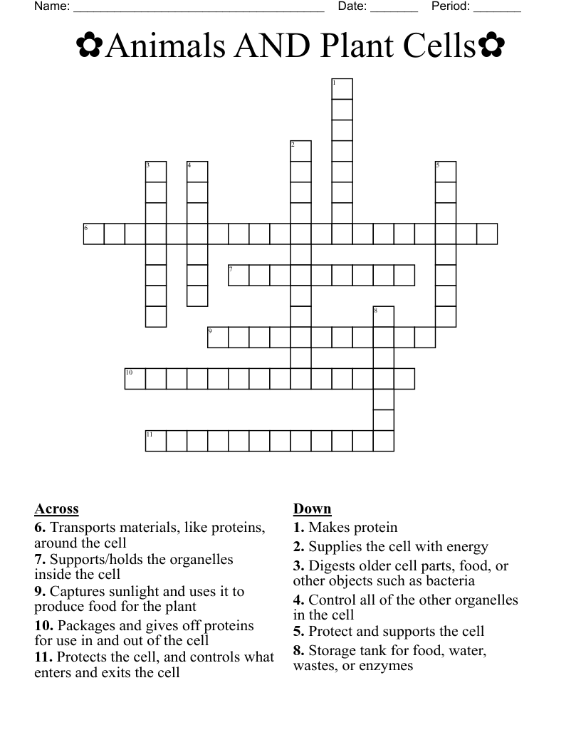 Animals AND Plant Cells Crossword WordMint