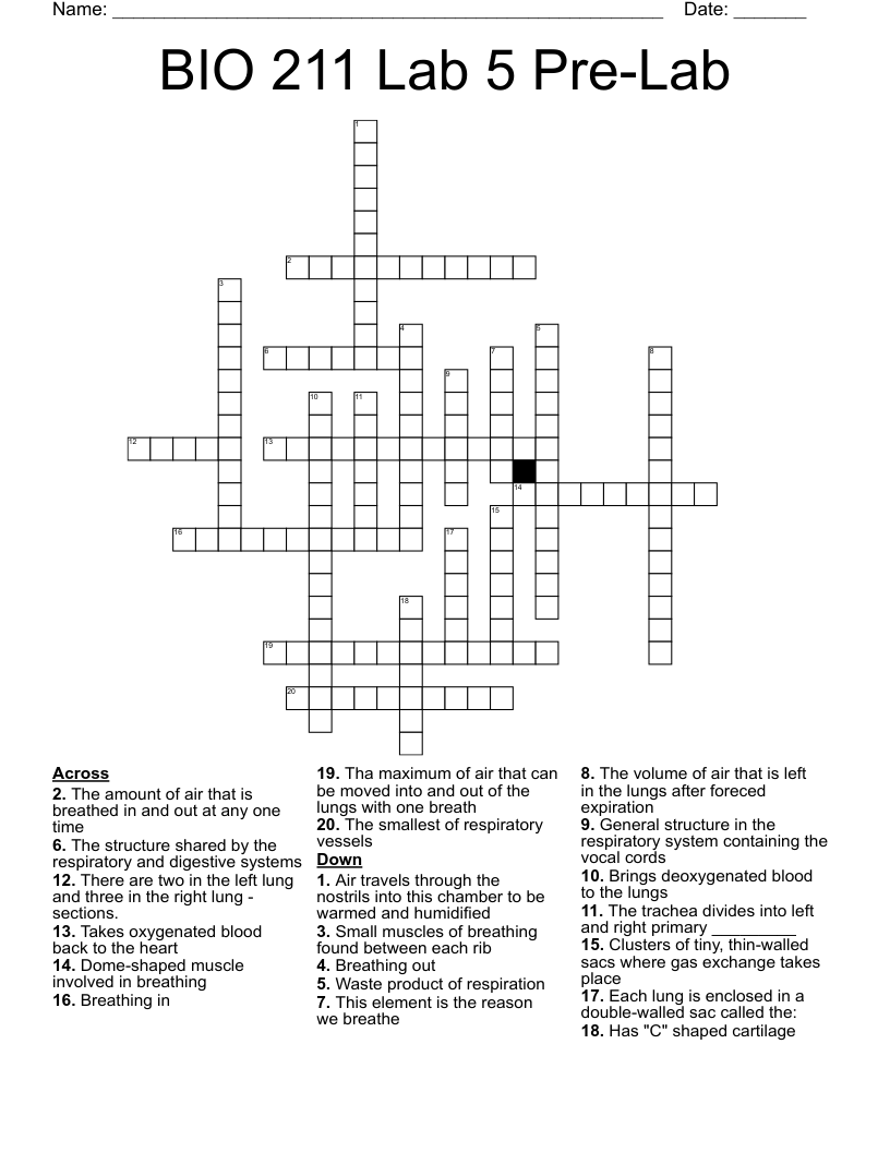 BIO 211 Lab 5 PreLab Crossword WordMint