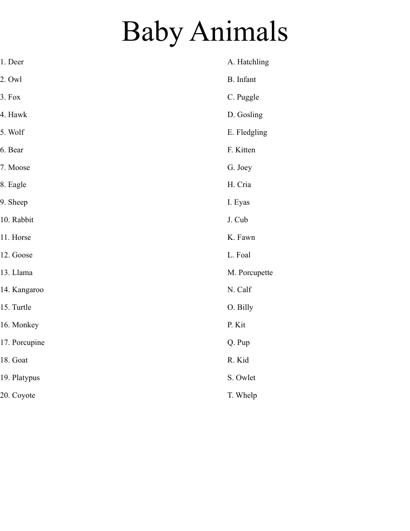 baby animals Crossword WordMint