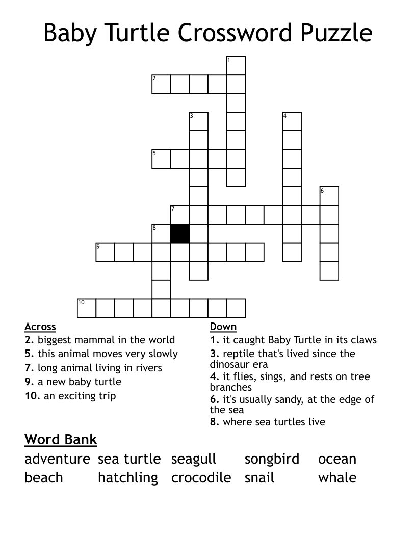 Baby Turtle Crossword Puzzle WordMint