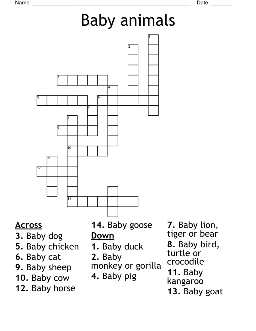 baby animals Crossword WordMint
